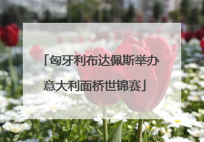 匈牙利布达佩斯举办意大利面桥世锦赛