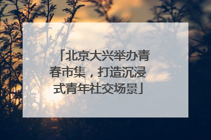 北京大兴举办青春市集，打造沉浸式青年社交场景