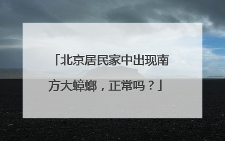 北京居民家中出现南方大蟑螂，正常吗？