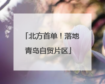 北方首单！落地青岛自贸片区