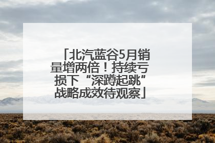 北汽蓝谷5月销量增两倍！持续亏损下“深蹲起跳”战略成效待观察