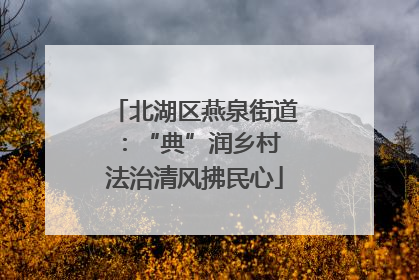 北湖区燕泉街道：“典”润乡村 法治清风拂民心