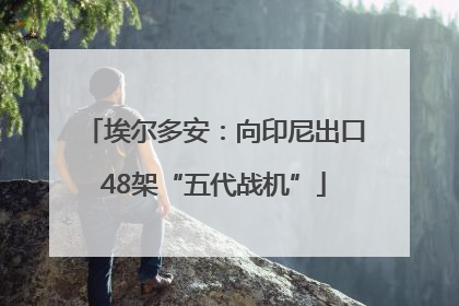 埃尔多安：向印尼出口48架“五代战机”