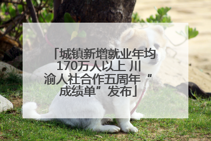 城镇新增就业年均170万人以上 川渝人社合作五周年“成绩单”发布