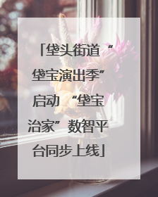 垡头街道“垡宝演出季”启动 “垡宝治家”数智平台同步上线