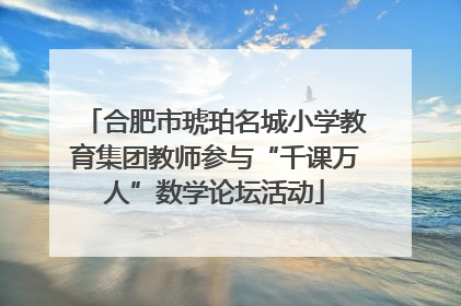合肥市琥珀名城小学教育集团教师参与“千课万人”数学论坛活动