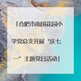 合肥市南国花园小学党总支开展“庆七一”主题党日活动