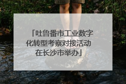 吐鲁番市工业数字化转型考察对接活动在长沙市举办