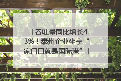 吞吐量同比增长4.3%！泰州企业坐享“家门口就是国际港”