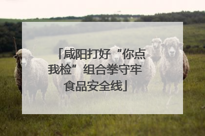 咸阳打好“你点我检”组合拳守牢食品安全线