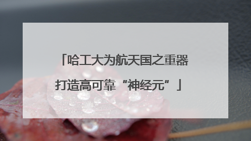 哈工大为航天国之重器打造高可靠“神经元”