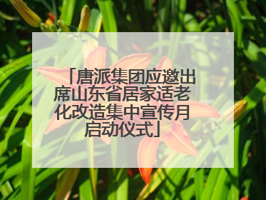唐派集团应邀出席山东省居家适老化改造集中宣传月启动仪式
