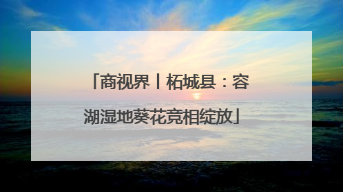 商视界丨柘城县：容湖湿地葵花竞相绽放