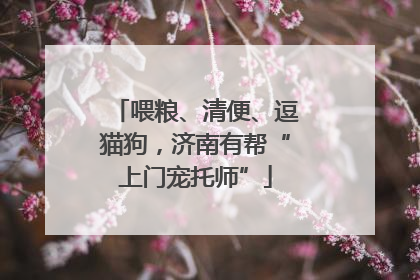 喂粮、清便、逗猫狗，济南有帮“上门宠托师”