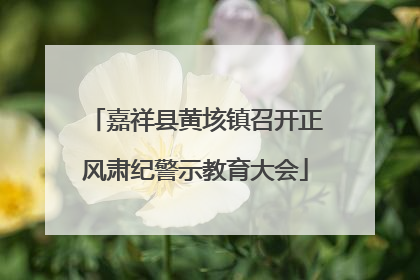 嘉祥县黄垓镇召开正风肃纪警示教育大会