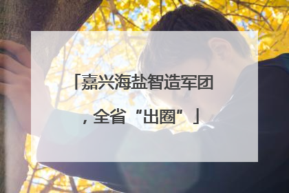 嘉兴海盐智造军团，全省“出圈”