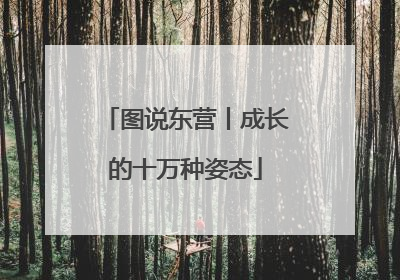 图说东营丨成长的十万种姿态