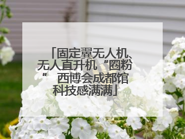 固定翼无人机、无人直升机“圈粉” 西博会成都馆科技感满满
