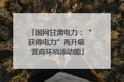 国网甘肃电力：“获得电力”再升级 营商环境添动能