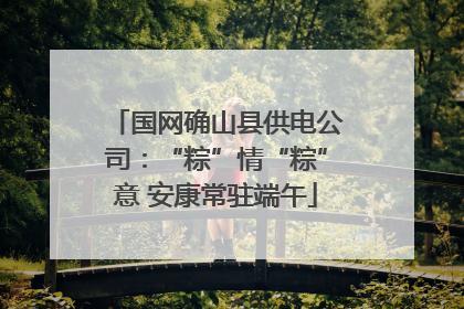 国网确山县供电公司：“粽”情“粽”意 安康常驻端午