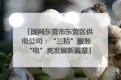 国网东营市东营区供电公司：“三精”服务“电”亮发展新篇章