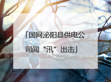 国网泌阳县供电公司闻“汛”出击