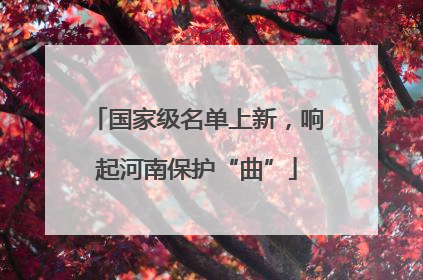 国家级名单上新，响起河南保护“曲”