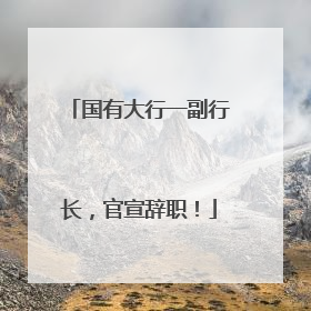国有大行一副行长，官宣辞职！