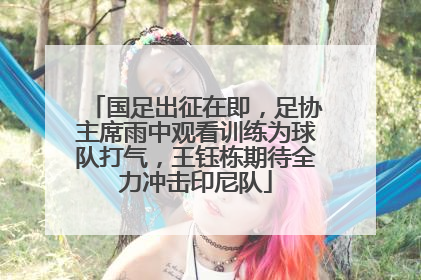 国足出征在即，足协主席雨中观看训练为球队打气，王钰栋期待全力冲击印尼队