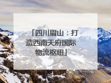 四川眉山：打造西南天府国际物流枢纽
