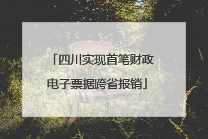四川实现首笔财政电子票据跨省报销
