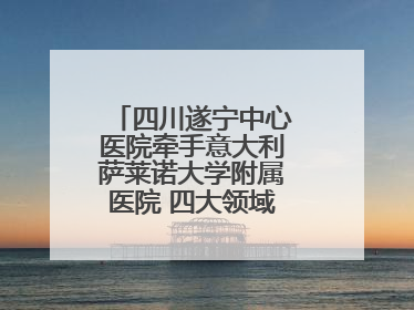 四川遂宁中心医院牵手意大利萨莱诺大学附属医院 四大领域开展全面合作