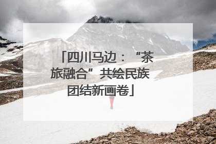 四川马边：“茶旅融合”共绘民族团结新画卷