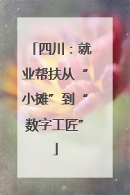 四川：就业帮扶从“小摊”到“数字工匠”