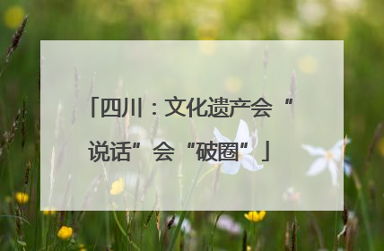 四川：文化遗产会“说话”会“破圈”