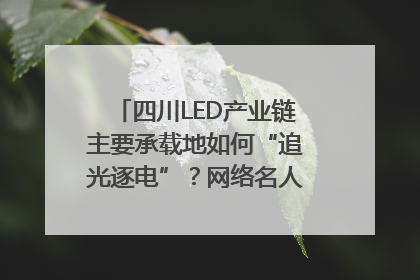 四川LED产业链主要承载地如何“追光逐电”？网络名人走进攀枝花找答案｜网络名人四川行