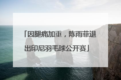 因腿痛加重，陈雨菲退出印尼羽毛球公开赛