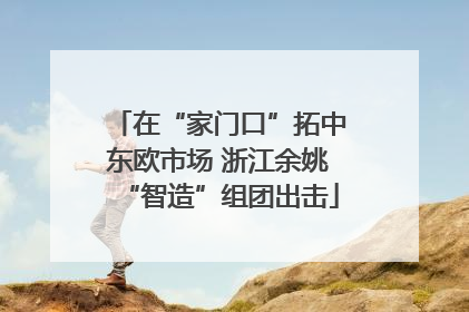 在“家门口”拓中东欧市场 浙江余姚“智造”组团出击
