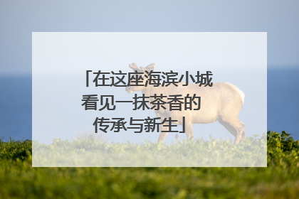 在这座海滨小城 看见一抹茶香的传承与新生
