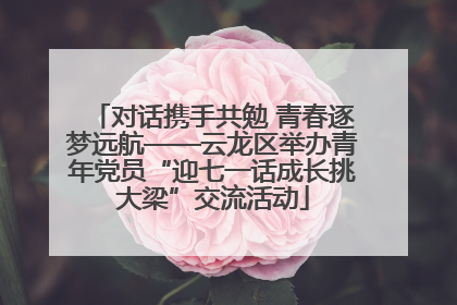 对话携手共勉 青春逐梦远航——云龙区举办青年党员“迎七一话成长挑大梁”交流活动
