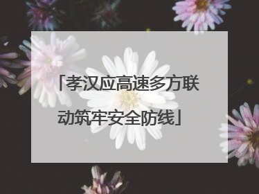 孝汉应高速多方联动筑牢安全防线