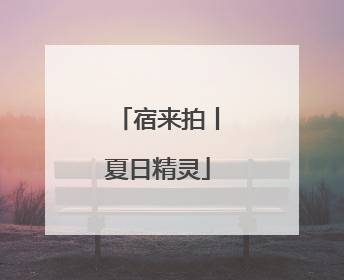 宿来拍丨夏日精灵