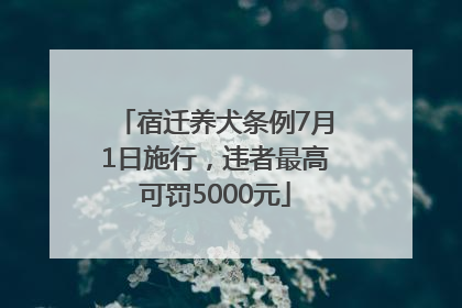 宿迁养犬条例7月1日施行，违者最高可罚5000元