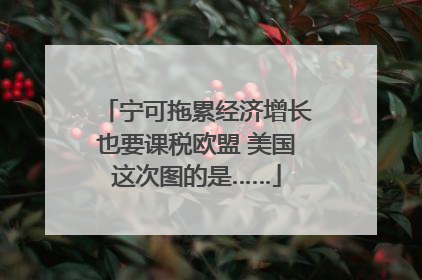 宁可拖累经济增长也要课税欧盟 美国这次图的是……