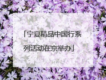 宁夏精品中国行系列活动在京举办