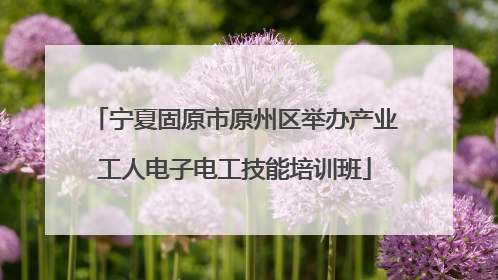 宁夏固原市原州区举办产业工人电子电工技能培训班