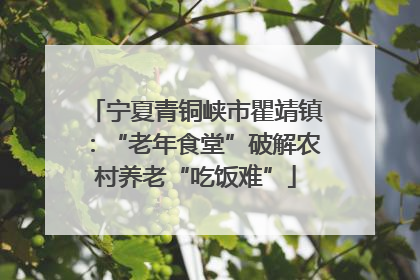 宁夏青铜峡市瞿靖镇：“老年食堂”破解农村养老“吃饭难”