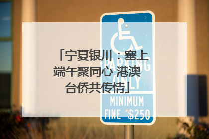 宁夏银川：塞上端午聚同心 港澳台侨共传情