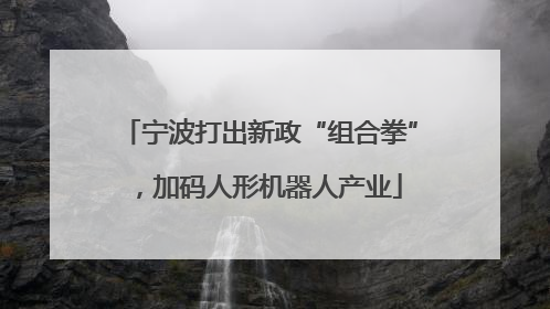 宁波打出新政“组合拳”，加码人形机器人产业