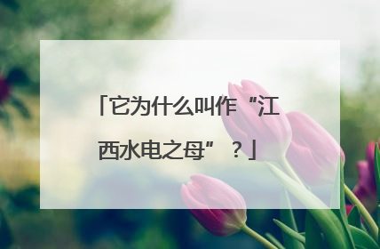 它为什么叫作“江西水电之母”？